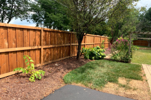 Cedar fence installed in Glenview, Illinois
